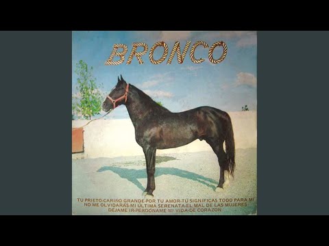 Putar Perdóname Mi Vida - Bronco