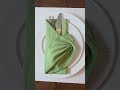 Beautiful Napkin Folds You Can Do in Seconds 🤍