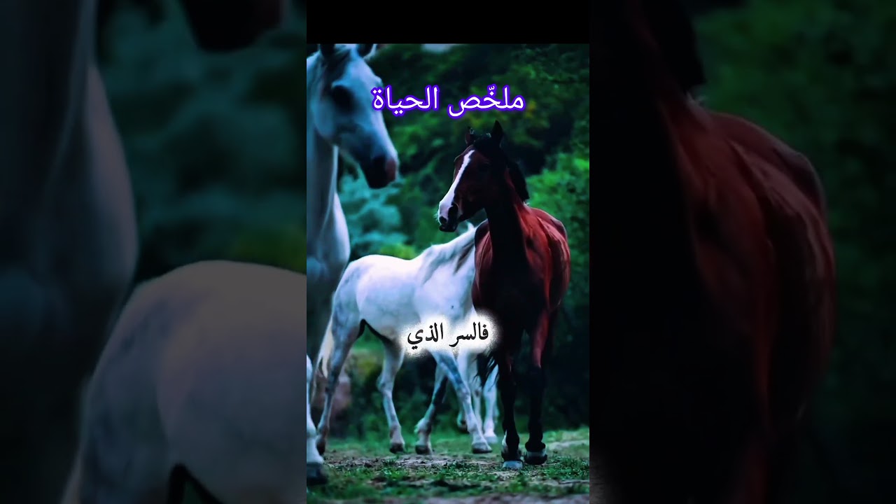 ملخص الحياة عبارات رائعة