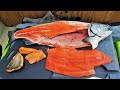 *Catch and Cook!!* KING Salmon TASTE TEST: Belly, Back & Tail