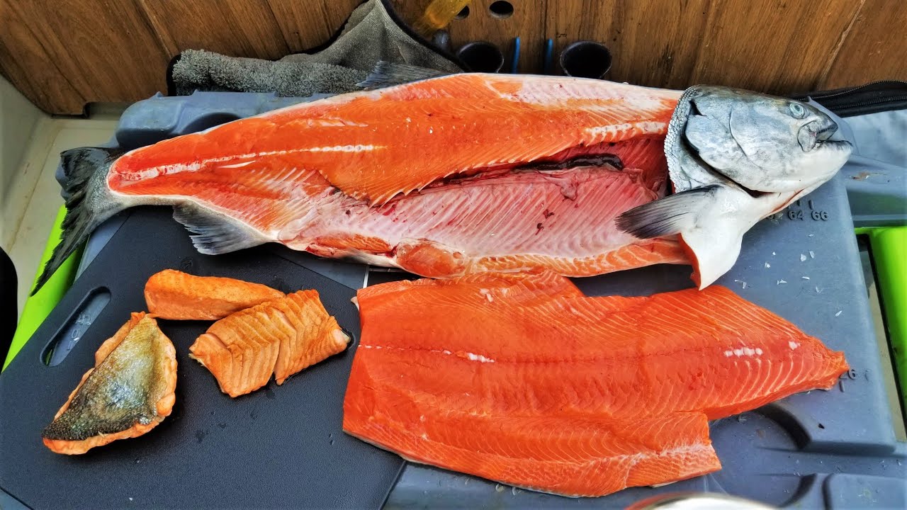 *Catch and Cook!!* KING Salmon TASTE TEST Belly, Back & Tail YouTube