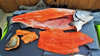 *Catch and Cook!!* KING Salmon TASTE TEST: Belly, Back & Tail