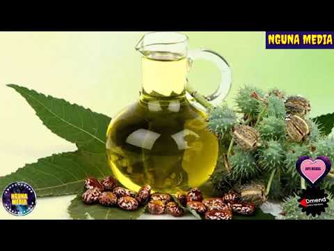 Video: Kutumia Castor Oil Bustani - Jifunze Kuhusu Mafuta ya Castor kwa Kudhibiti Wadudu