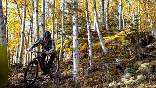 Sutton, Alaska Mountain Bike