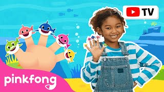 Shark Finger Family | Dance Along | Kids Rhymes | Let's Dance Together! | Pinkfong Songs