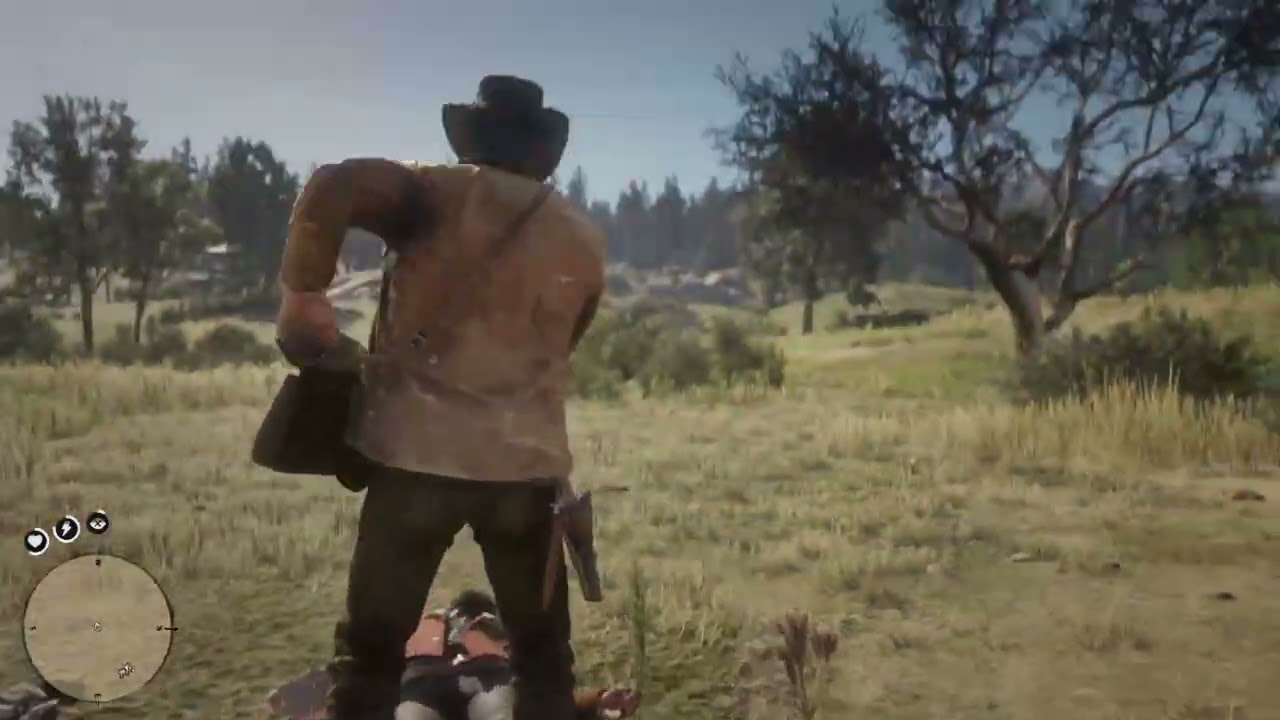Red Dead Redemption 2
