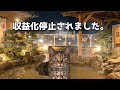 チャンネルが収益化停止した話 #猫ミーム