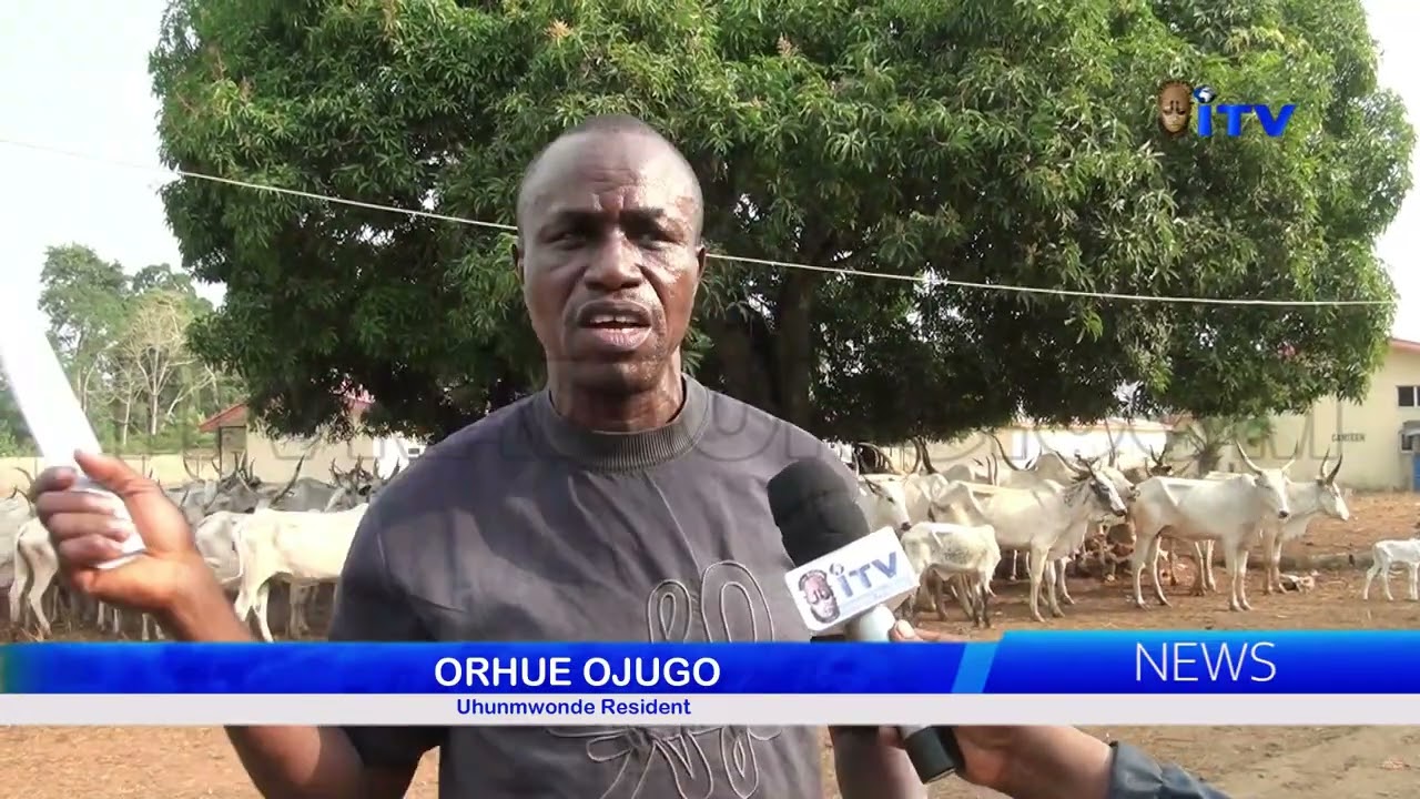 ПРЕДПОЛАГАЕМОЕ УНИЧТОЖЕНИЕ ФЕРМЫ: Молодежь в районе местного самоуправления Ухунмвонде захватила ...