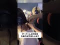 【ZETA】持ちつ持たれつの良き関係です #shorts