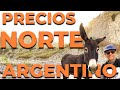 🤑PRECIOS 🤑 en el NORTE ARGENTINO 2021. Alojamientos, excursiones, comidas y más.