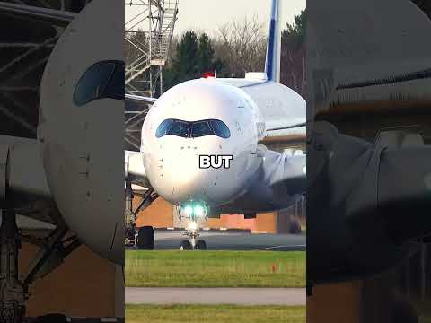 How pilots fly