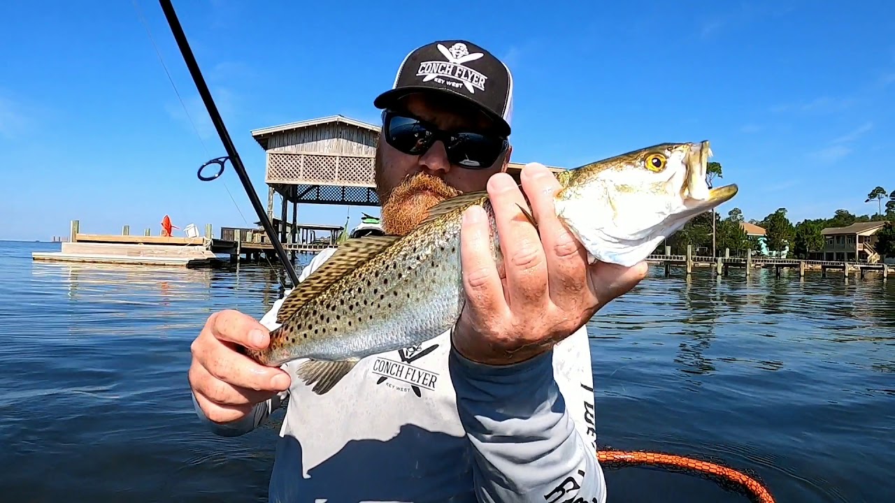 Inshore fishing Navarre Fl. YouTube
