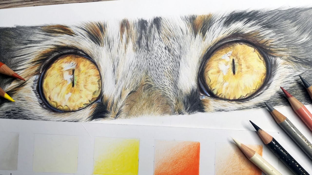 Drawing Cat's Eyes With Polychromos Colour Pencils | Narrated Tutorial