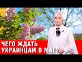 СМОТРЕТЬ ВСЕМ! С 1 мая! Что изменится для украинцев? ПАСХА! ПЕНСИИ! ТАРИФЫ! КАРАНТИН!