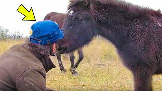 He Freed This Wild Horse — You'll Never Believe How It Thanked Him!