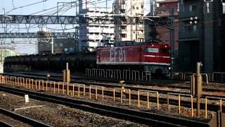 【安中貨物】5388レ EF81 95号機 レインボー牽引 金町駅通過