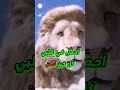 والله لم أختر يوما أن أكون عدوا لأحد اكسبلور كلام من ذهب عربيه اقتباسات حكمة اليوم دويتو
