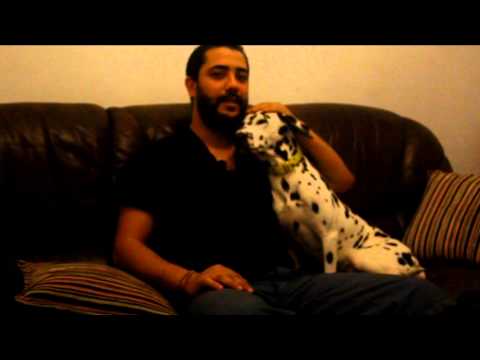 Halim Yousfi Gultrah Sound System 