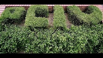 pciu | | Department of civil || PCIU