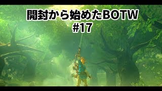 開封から始めたBOTW　#17