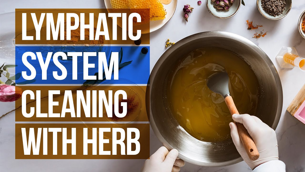 lymphatic system Food