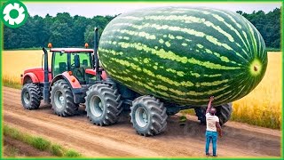 999 Most Satisfying Agriculture Machines and Ingenious Tools