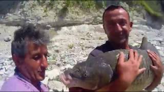 VURGAN CARP. TAN 17 KİLOLUK TROFE SAZAN