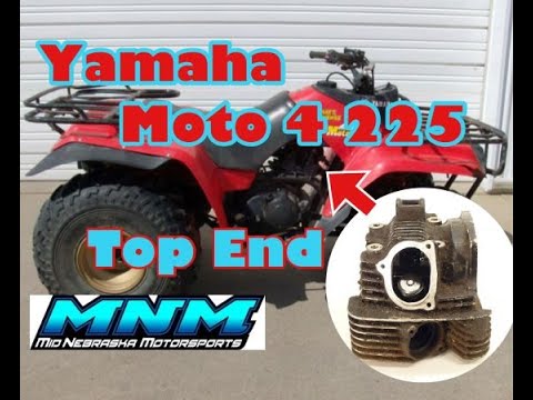 Stator 1985 Yamaha YFM200 Moto-4 ATV 