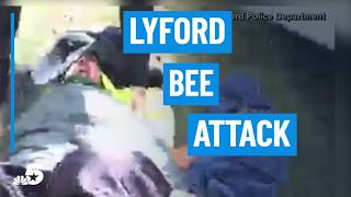 Body camera video shows dramatic rescue during Lyford bee attack | NBCDFW