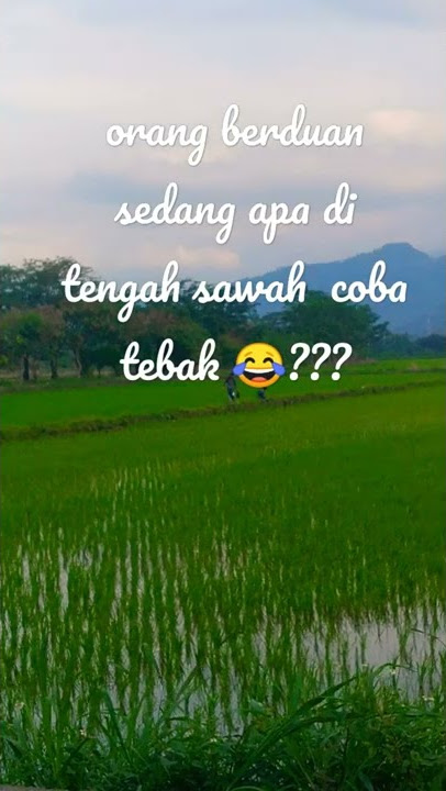 Orang berduan di tengah sawah sedang apa coba ???#videoshort #video #internasional #tiktok #viral