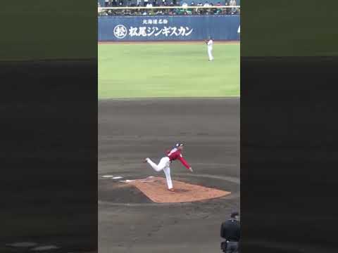 【トライアウト】元広島 山口翔の投球フォーム＜2023年11月15日プロ野球 合同トライアウト＞