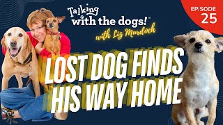 Liz Murdoch Animal Communicator - Lost Dog in Chicago Finds His Way Home