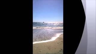 Thundering Third BN Fourth Marine Memorial Page 1985-1986