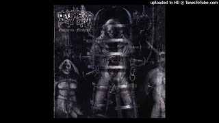 Belphegor - Swarm Of Rats