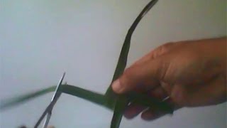 Cara Membuat Mainan Tradisional Kincir Angin Dari Daun Kelapa