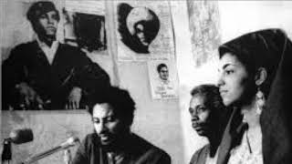 imari obadele on "Malcolm X & the Reparations Movement"