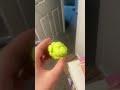Ender pearl