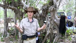 Expeditions Into Spirit