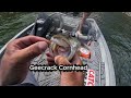 Biwaa Kapsiz Smallmouth Crack!!