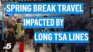 Spring break travelers face long TSA lines | NBCDFW
