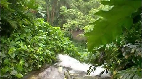 The Eden Project. 20th October 2007. Part Two