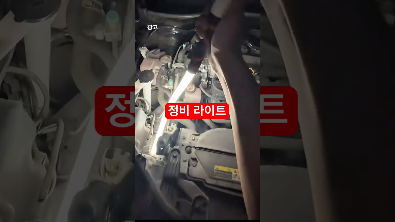 미국에서 난리난 #정비 라이트