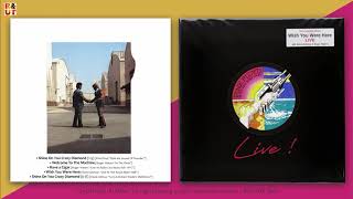 Pink Floyd Live Wish You Were Here Full Album Live Unofficial By R Ut Youtube