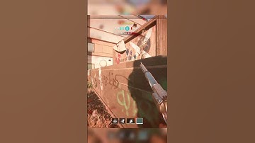 They were SCREAMING after I hit this Shot  (MW2)