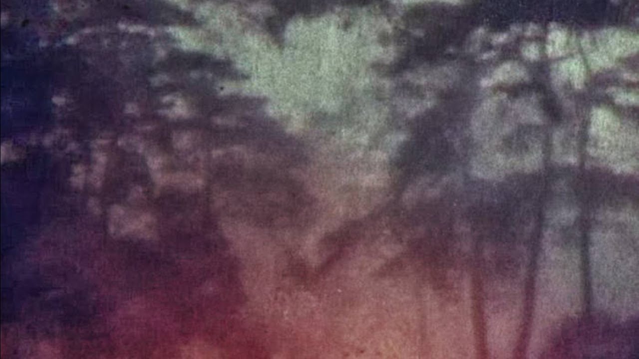 Guarda Orchid Mantis - Hessdalen lights (Full album) su YouTube Guarda Orchid Mantis - Hessdalen lights (Full album) su YouTube