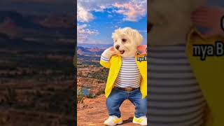 virtual reality dog danceing video #funny #танцули #edit #comedy