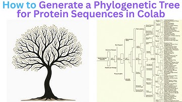 How to Generate a Phylogenetic Tree for Protein Sequences?