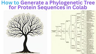How to Generate a Phylogenetic Tree for Protein Sequences?