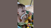 Орхидеи,узамба́рские фиалки,Самара🌺