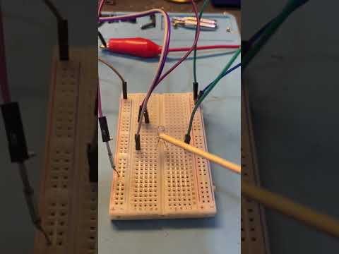 Reed Switch (Basic